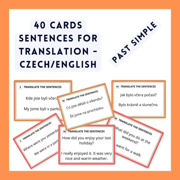 PAST SIMPLE SENTENCES FOR TRANSLATION 1