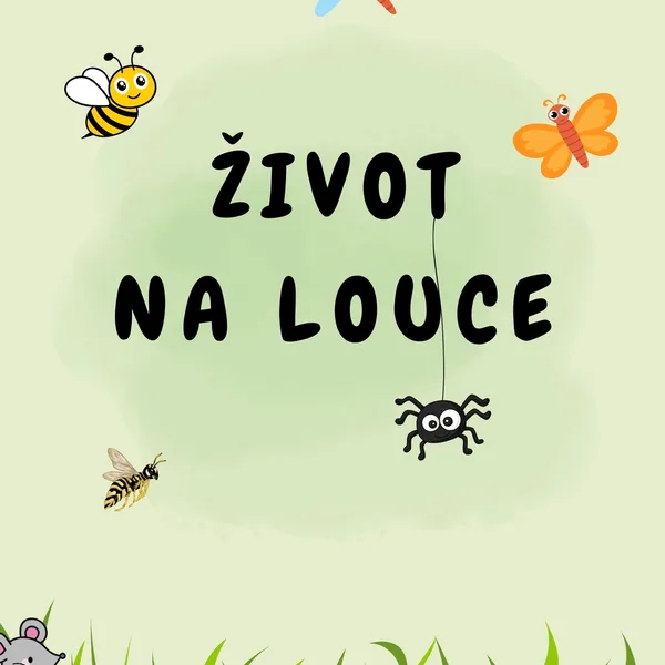 ŽIVOT NA LOUCE🦋🐝 1