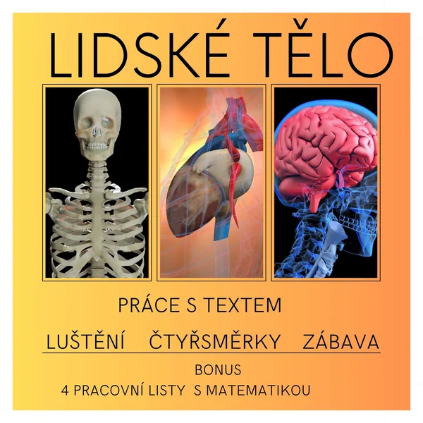 Lidské tělo  1