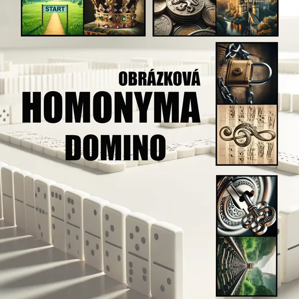 Obrázková homonyma - domino  1