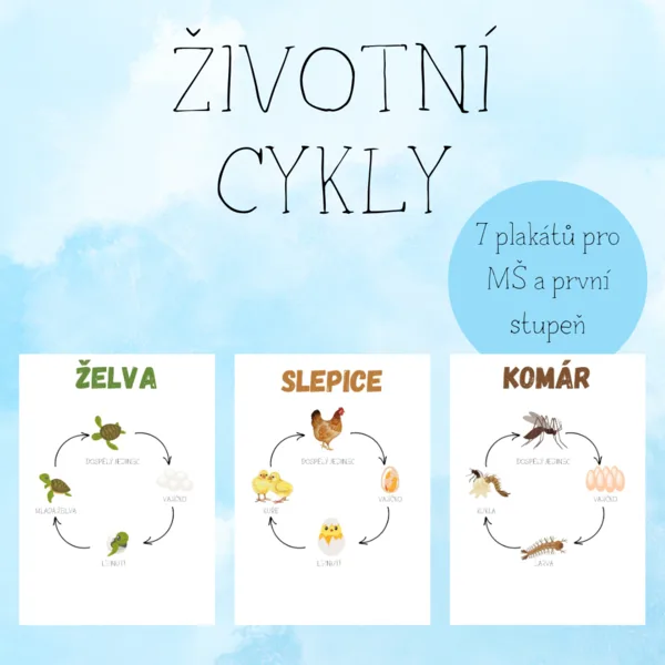 7 ŽIVOTNÍCH CYKLŮ 1
