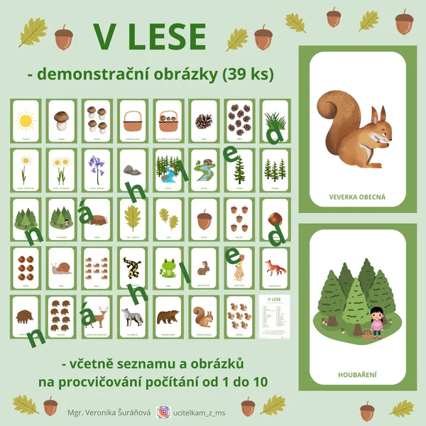V LESE (39 ks A4) - demonstrační obrázky + počítání od 1 do 10 1