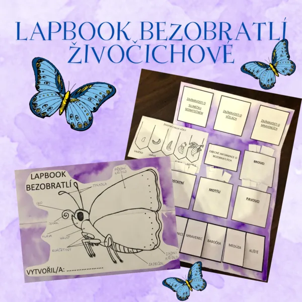 Lapbook - bezobratlí živočichové 1