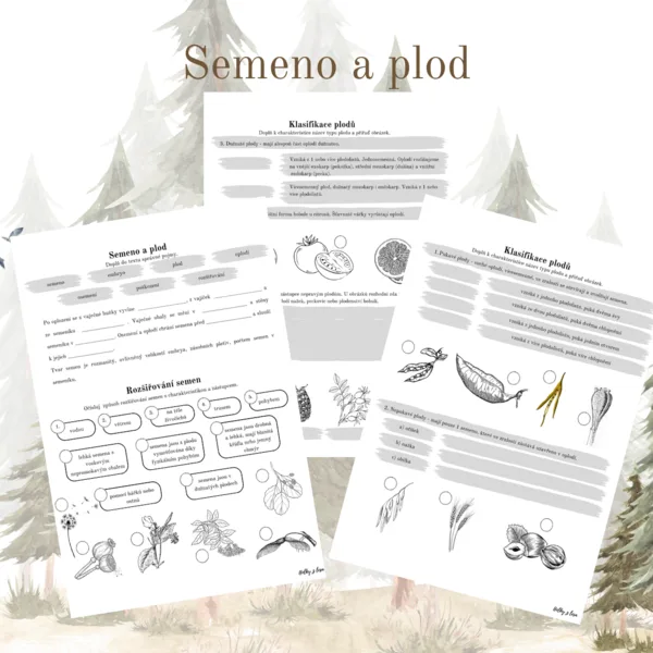 Semeno a plod 1