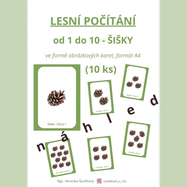POČÍTÁNÍ od 1 do 10 - šišky (10 ks, A4) 1