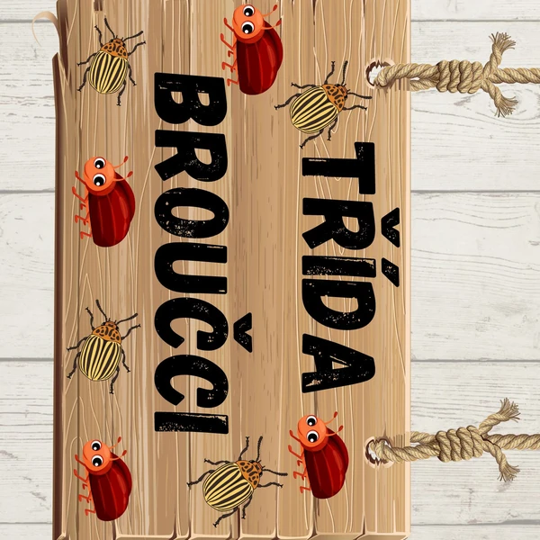 VÝZDOBA TŘÍDY - BROUČCI 🪲🪲 1