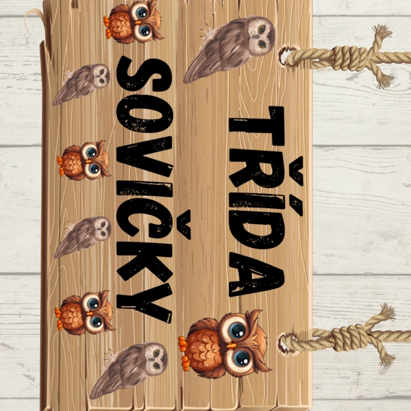 VÝZDOBA TŘÍDY - SOVIČKY🦉🦉 1