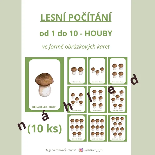 Lesní počítání od 1 do 10 - HOUBY (10 ks) 1