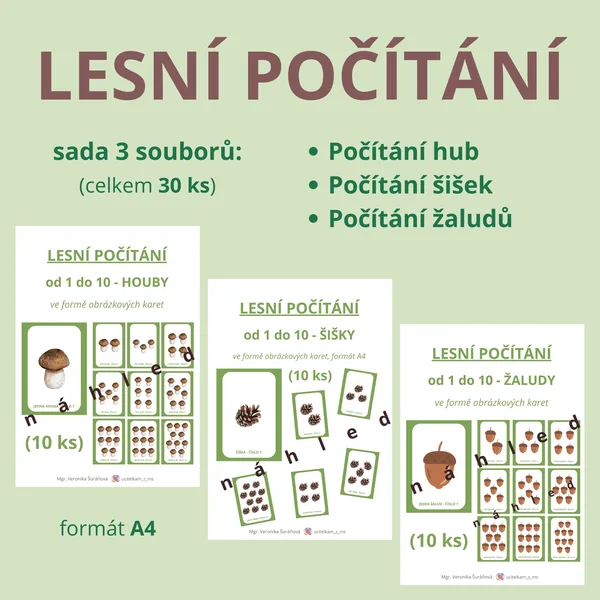 SADA LESNÍHO POČÍTÁNÍ - houby + šišky + žaludy (30 ks, A4) 1