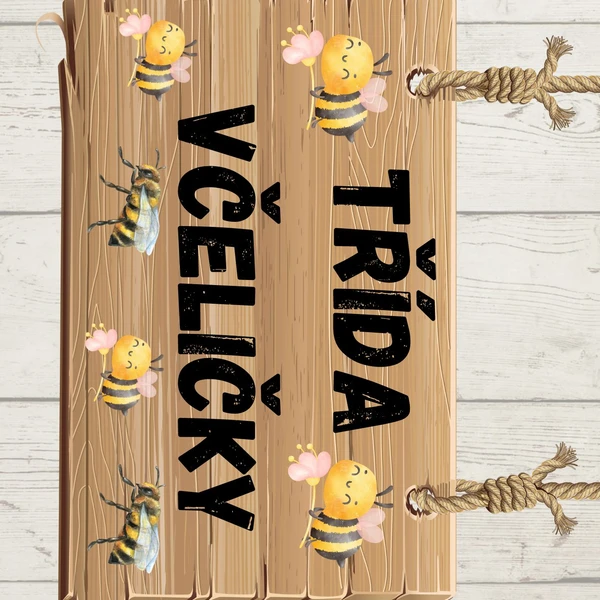 VÝZDOBA TŘÍDY - VČELIČKY🐝🐝 1