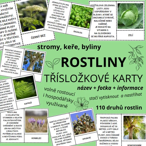ROSTLINY - třísložkové karty (110 druhů, název + obrázek + text) 1