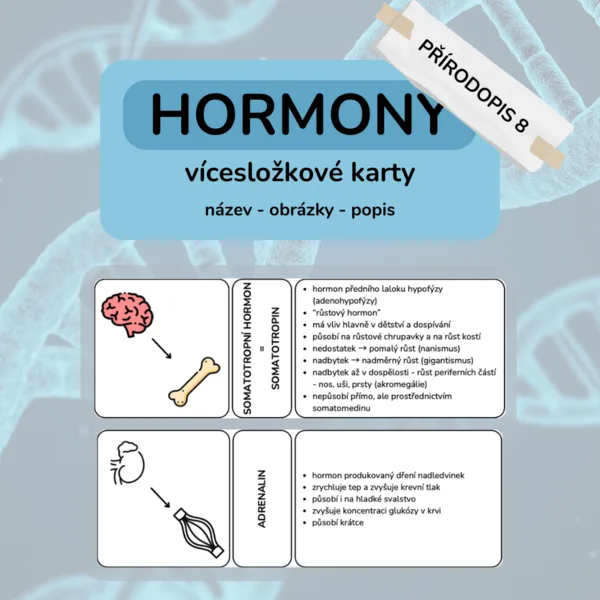 Hormony - vícesložkové karty 1