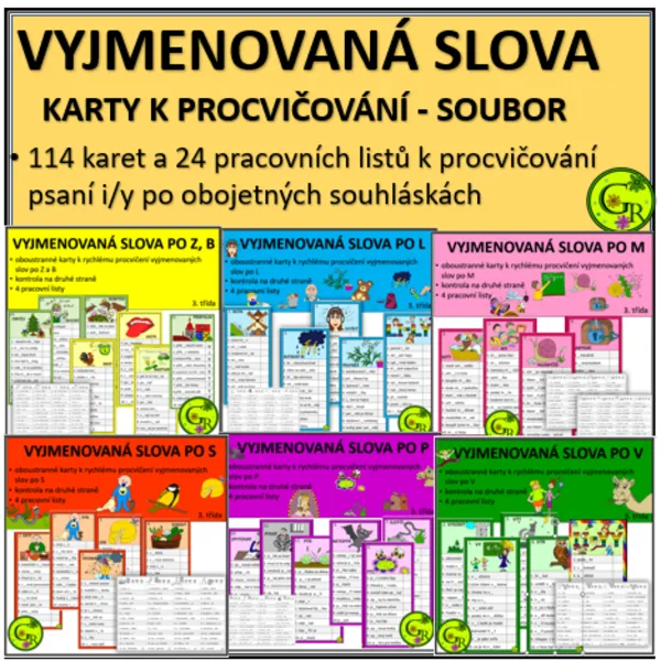 VYJMENOVANÁ SLOVA - KARTY K PROCVIČOVÁNÍ - SOUBOR 1