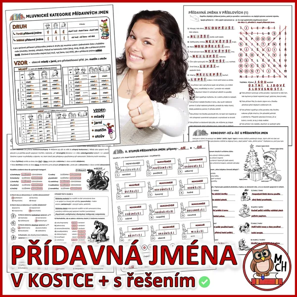 PŘÍDAVNÁ JMÉNA v kostce (PL s řešením) 1
