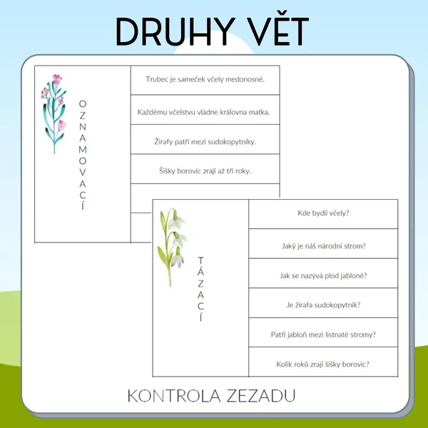 Druhy vět 1