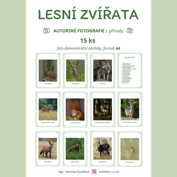 LESNÍ ZVÍŘATA - foto demonstrační obrázky (15 ks) 1