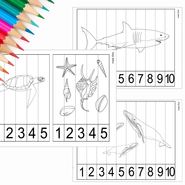 PUZZLE PROUŽKY - MOŘE A OCEÁNY 1