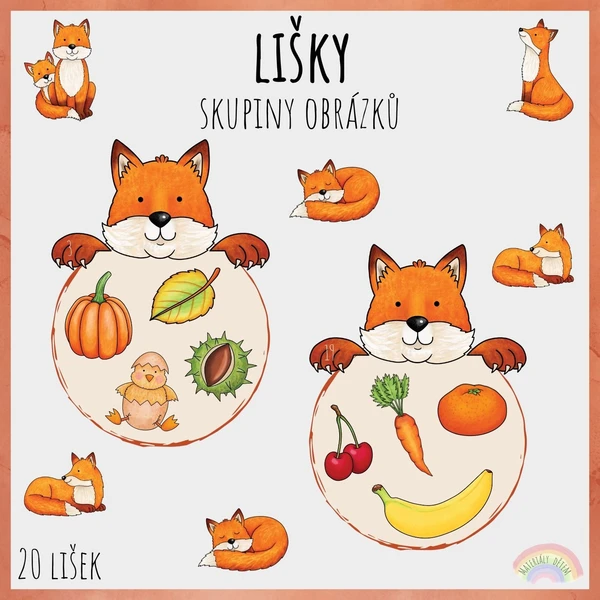 Lišky, skupiny obrázků 1
