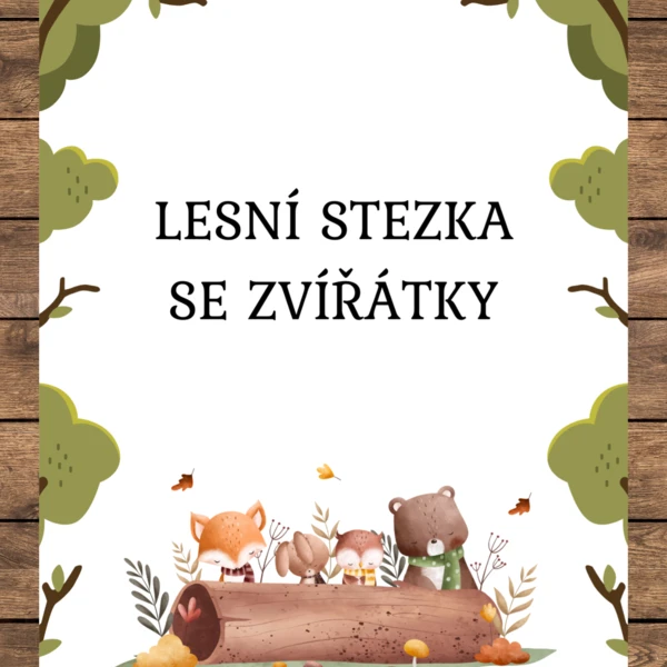 LESNÍ STEZKA 1