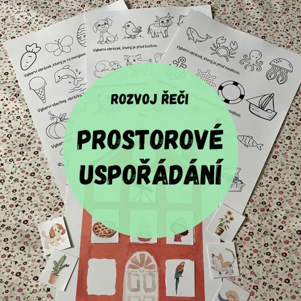 PROSTOROVÉ USPOŘÁDÁNÍ  1