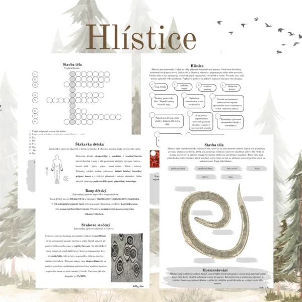 Hlístice 1