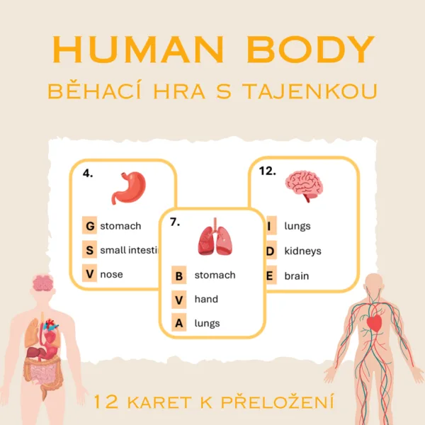 Human body - běhací hra s tajenkou 1