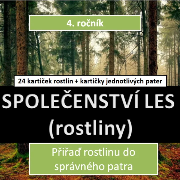 Společenství les (rostliny) 1