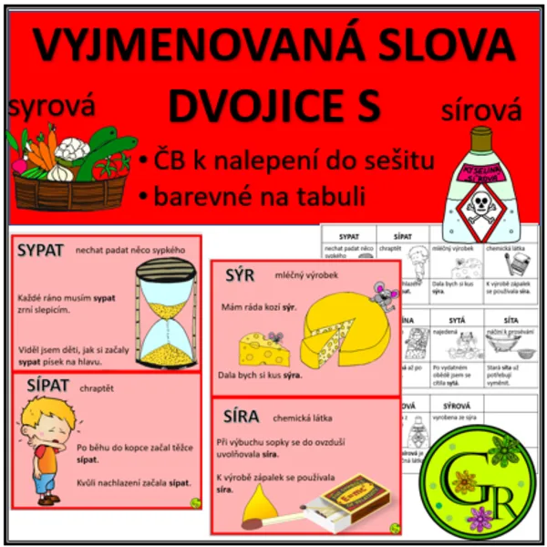 VYJMENOVANÁ SLOVA - DVOJICE PO S 1