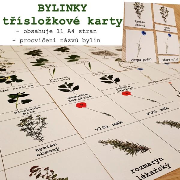 Třísložkové karty - bylinky, rostlinky 1