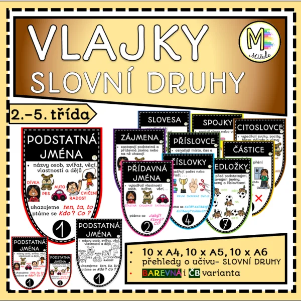 SLOVNÍ DRUHY- VLAJKY 1