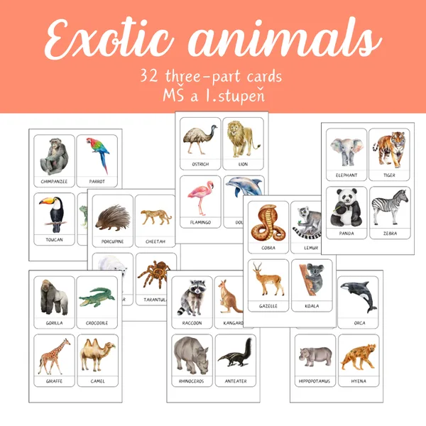 Three-part cards - EXOTIC ANIMALS 1