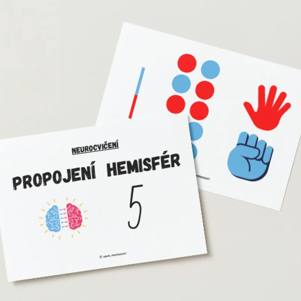 Neurocvičení 5 (propojování hemisfér - mozkodřívka) 1