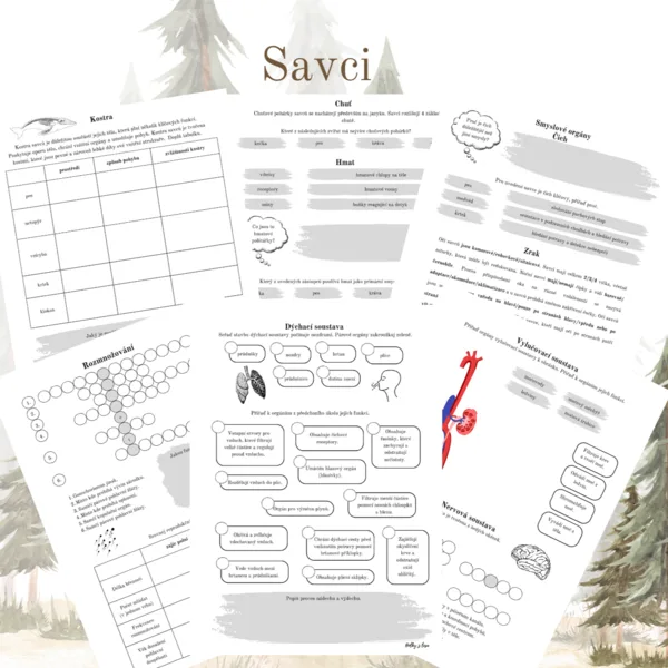 Savci 1
