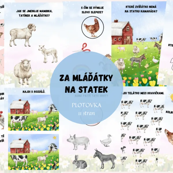 ZA MLÁĎÁTKY NA STATEK - PLOTOVKA 1