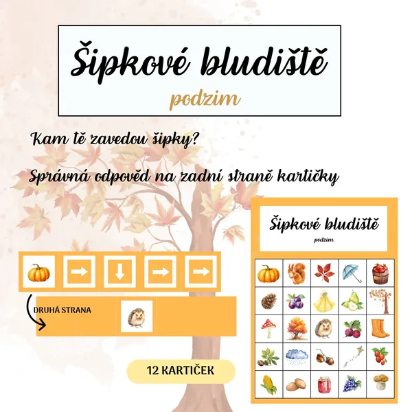 Šipkové bludiště - PODZIM 1