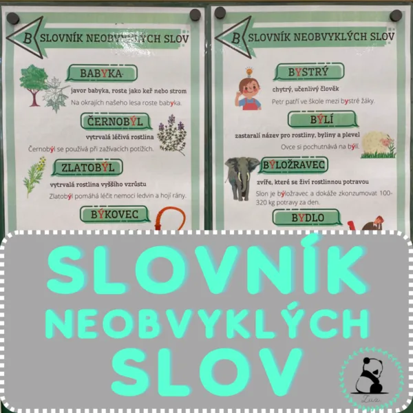 Neobvyklá vyjmenovaná slova 1