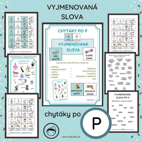 VYJMENOVANÁ SLOVA CHYTÁKY PO P 1