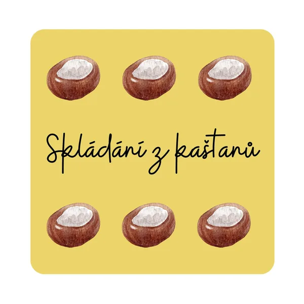 Kaštánkové skládání 1