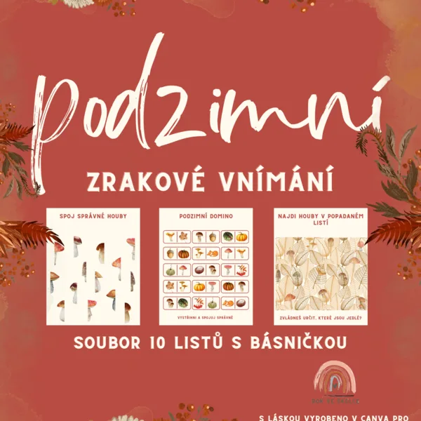 🍄‍🟫PODZIM🍄‍🟫zrakové vnímání pro MŠ 1