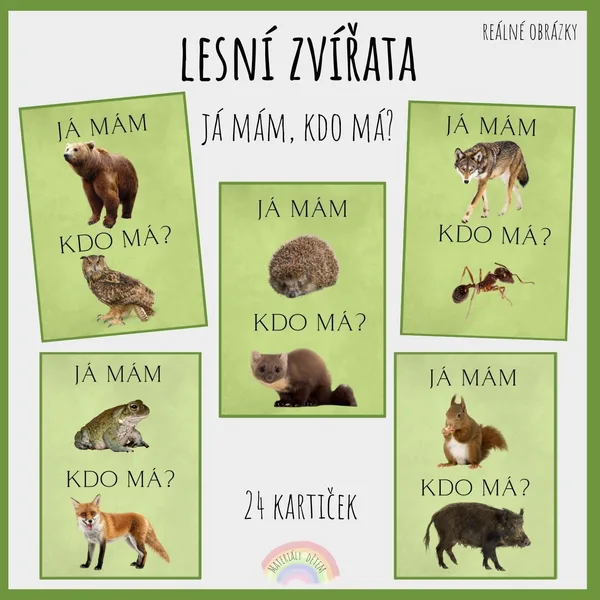 Já mám, kdo má? Lesní zvířata (reálné obrázky) 1
