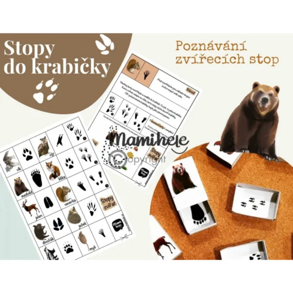 Pexeso do krabičky stopy zvířátek z lesa 1
