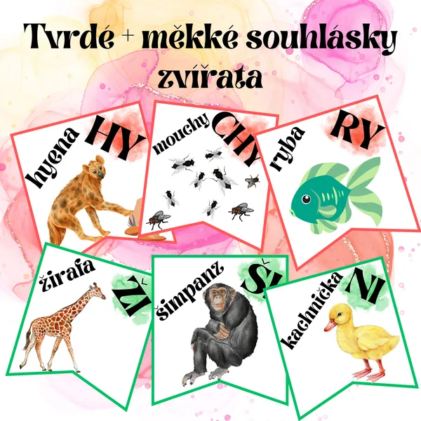 Tvrdé + měkké souhlásky - zvířata 1