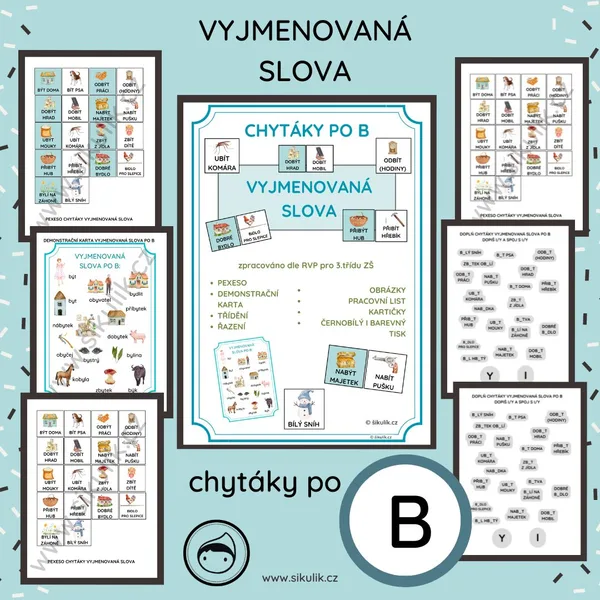 VYJMENOVANÁ SLOVA CHYTÁKY PO B 1