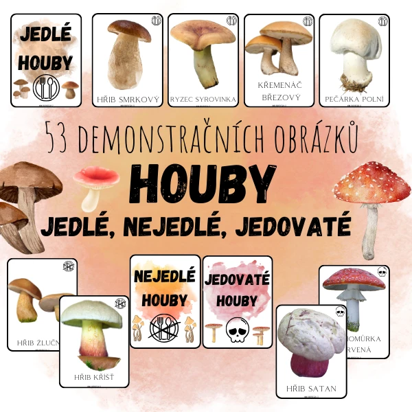 DEMONSTRAČNÍ OBRÁZKY - HOUBY (jedné, nejedlé, jedovaté) 1