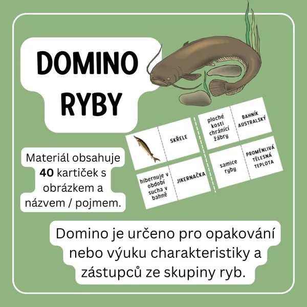 Domino ryby 1