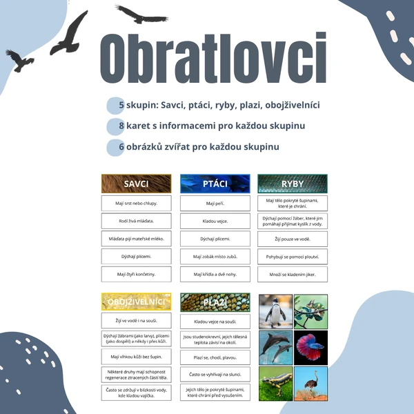 Obratlovci 1