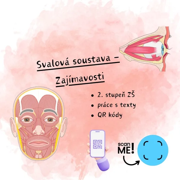 Svalová soustava - zajímavosti 1