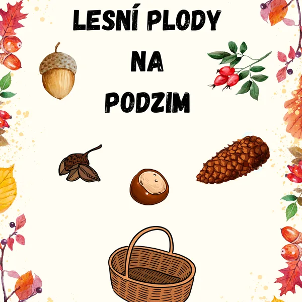 Lesní plody na podzim  1