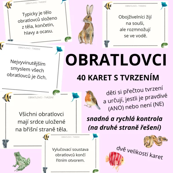 OBRATLOVCI - tvrzení (ANO/NE) - 40 karet (na druhé straně kontrola) 1