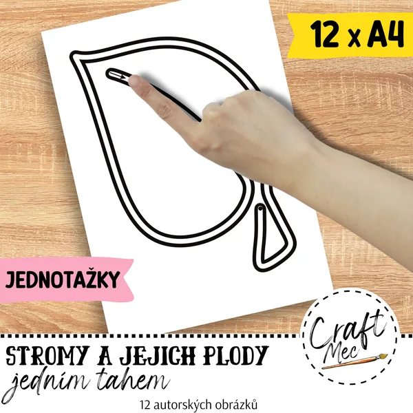 JEDNOTAŽKY - STROMY A JEJICH PLODY 1